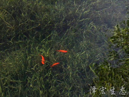 深圳某項(xiàng)目 深圳某項(xiàng)目